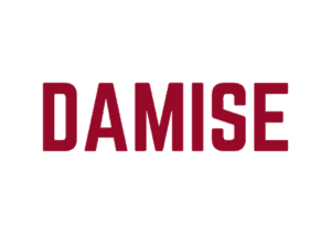 Damise Logo